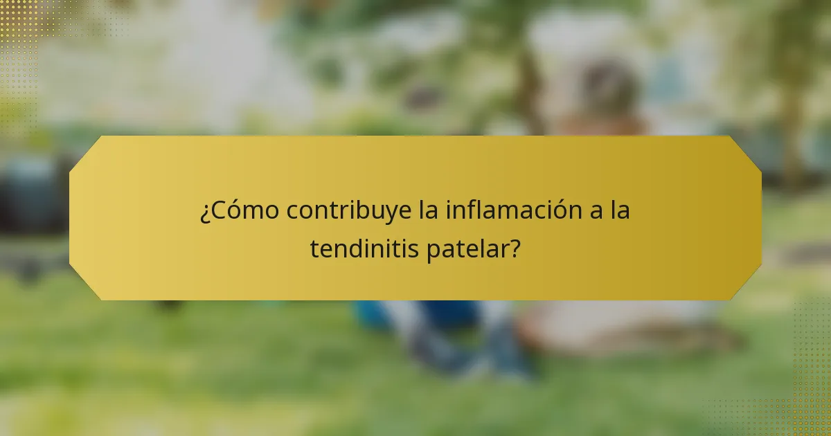 ¿Cómo contribuye la inflamación a la tendinitis patelar?