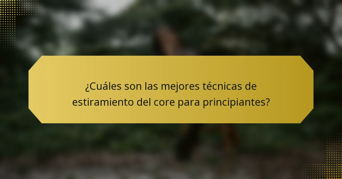 ¿Cuáles son las mejores técnicas de estiramiento del core para principiantes?