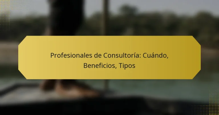 Profesionales de Consultoría: Cuándo, Beneficios, Tipos