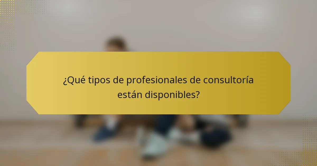 ¿Qué tipos de profesionales de consultoría están disponibles?